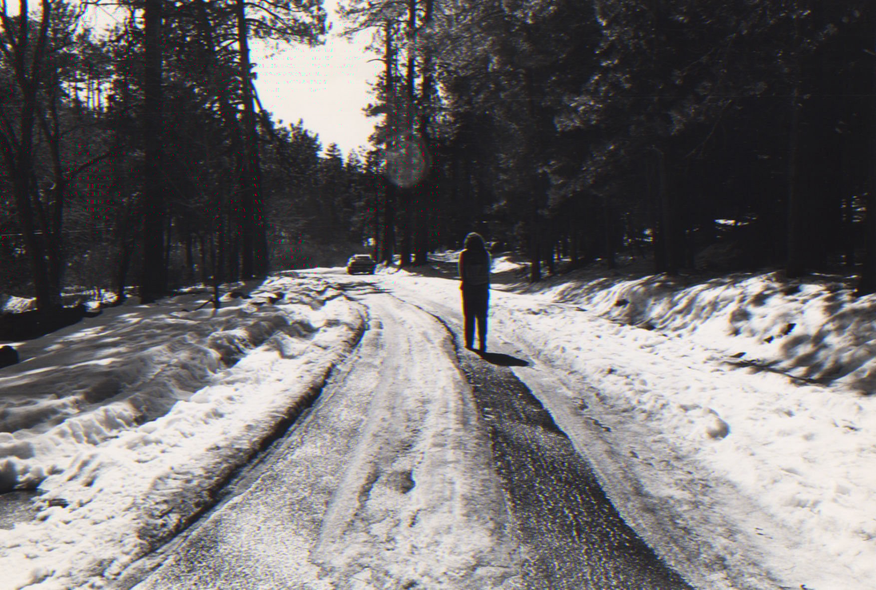 Snow on Mt. Lemmon